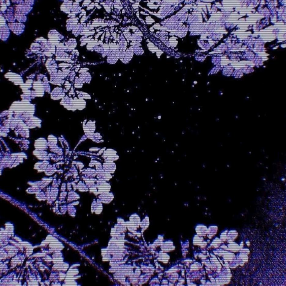 丁一不是丁1