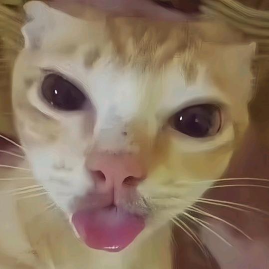 老馒头想吃烧鸭