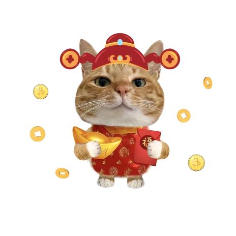 财神爷的心尖尖