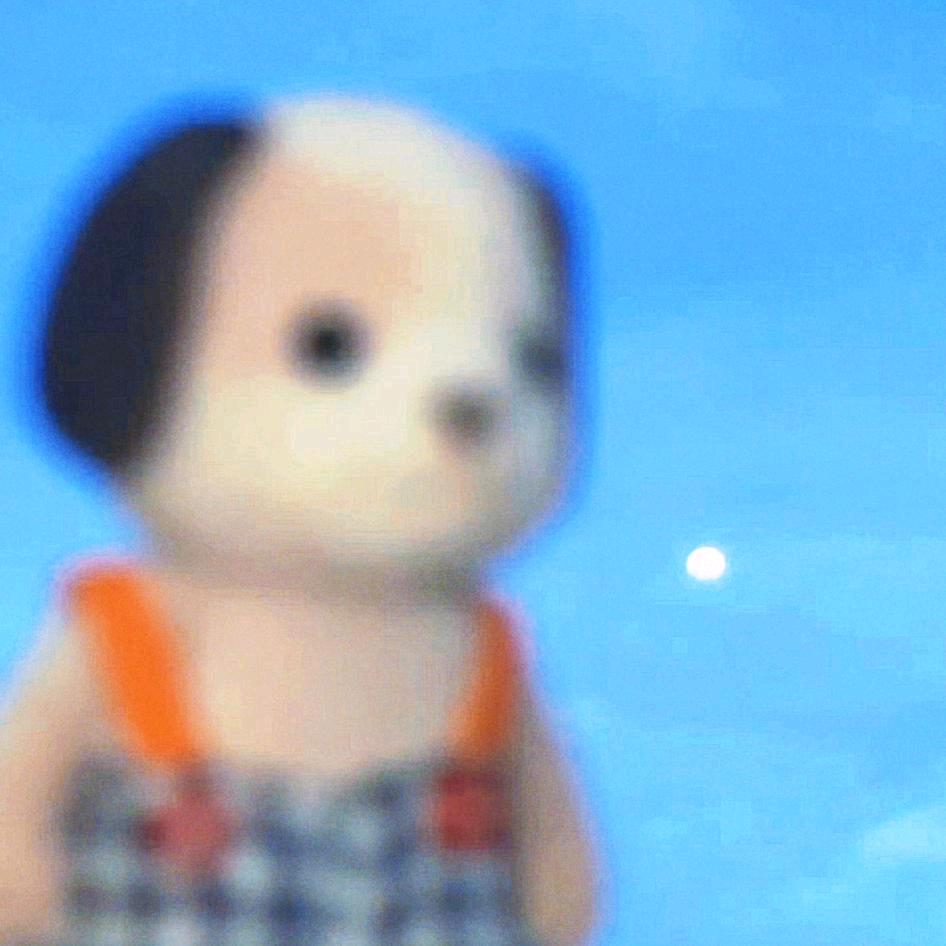 睡兔汪