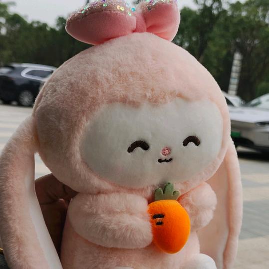是朱朱啊