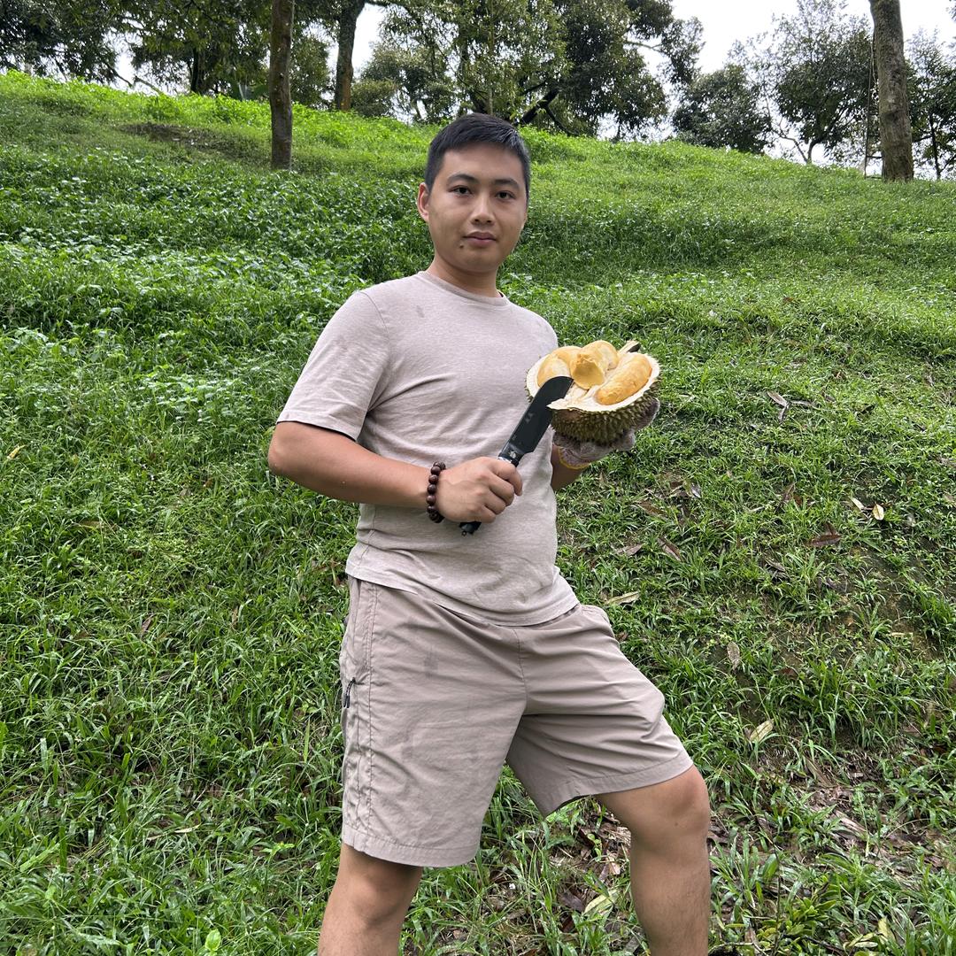 灰灰🇲🇾海之盈榴莲供应