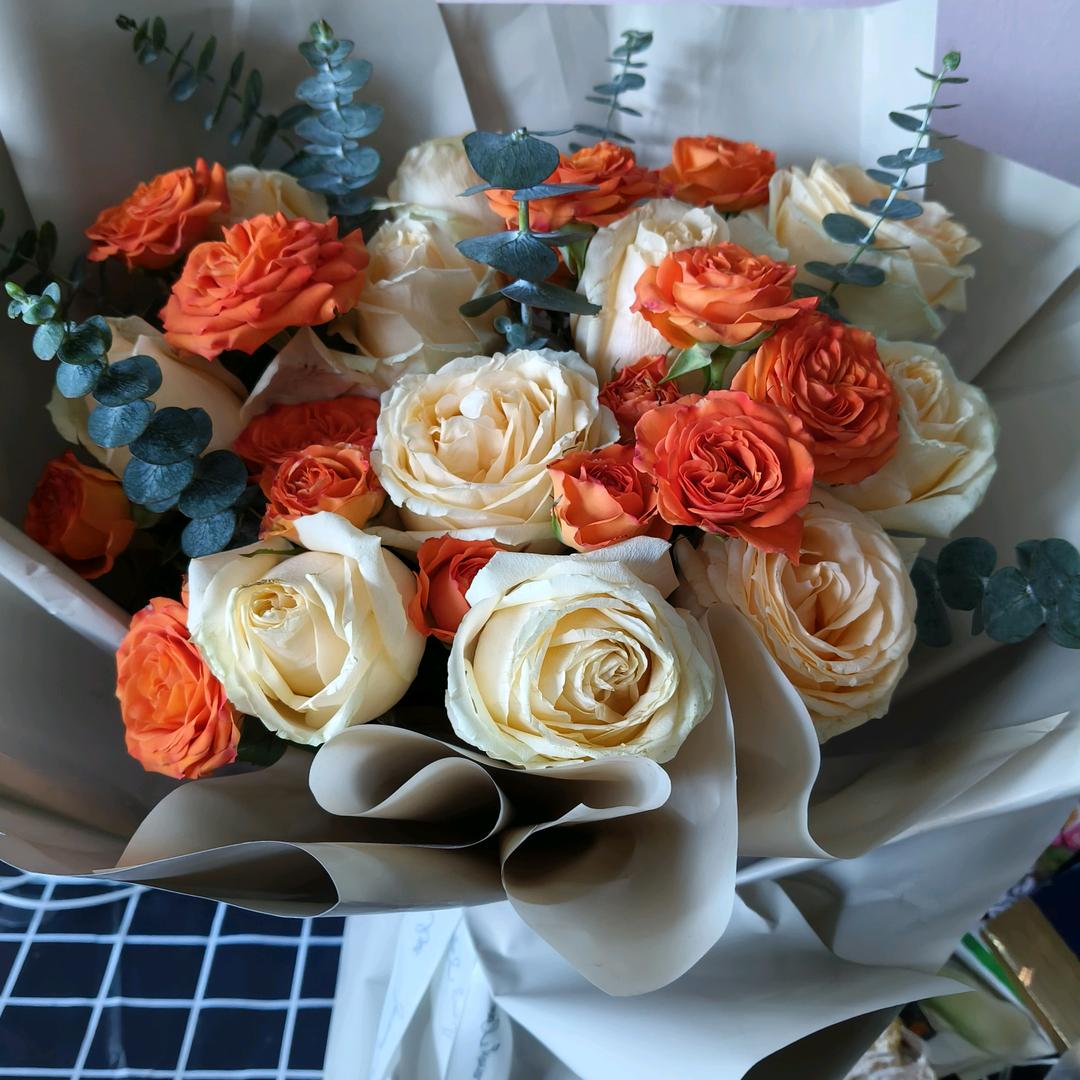 迷途《拒绝一切私聊》