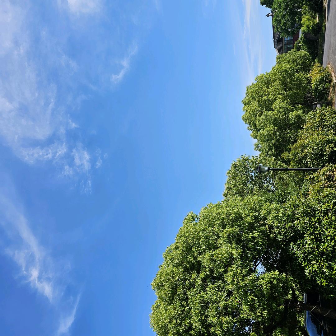东湖乐器