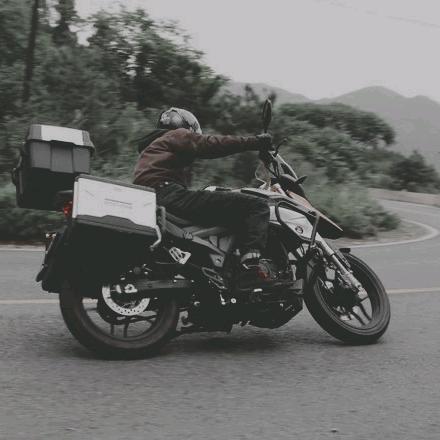 风行者