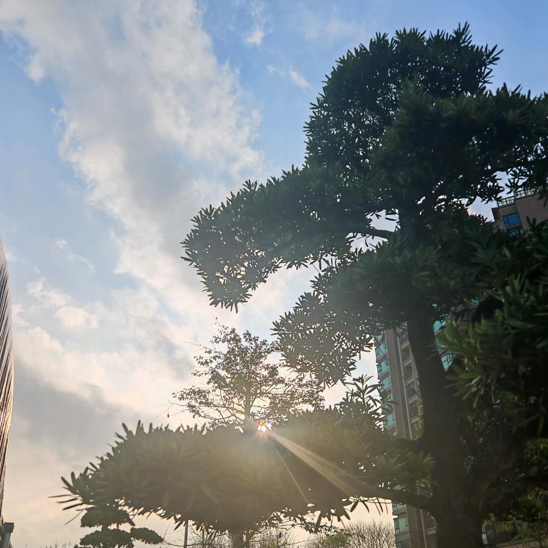 拖鞋哥（摆摊餐饮）