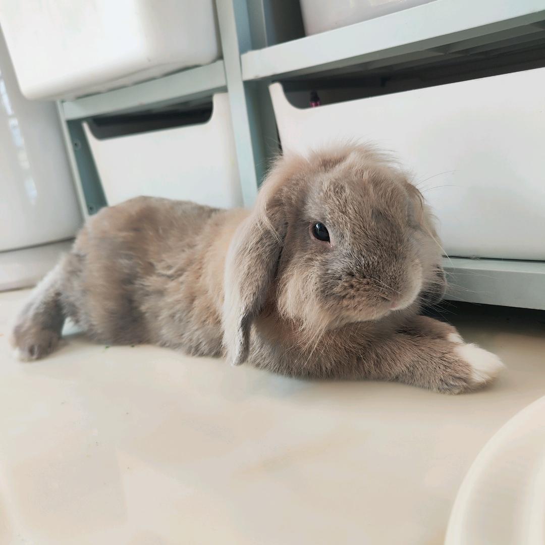 佛系的奔跑者