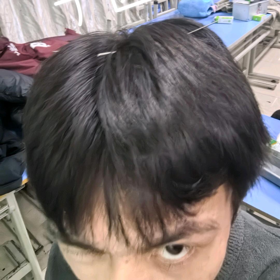 白枕鹤