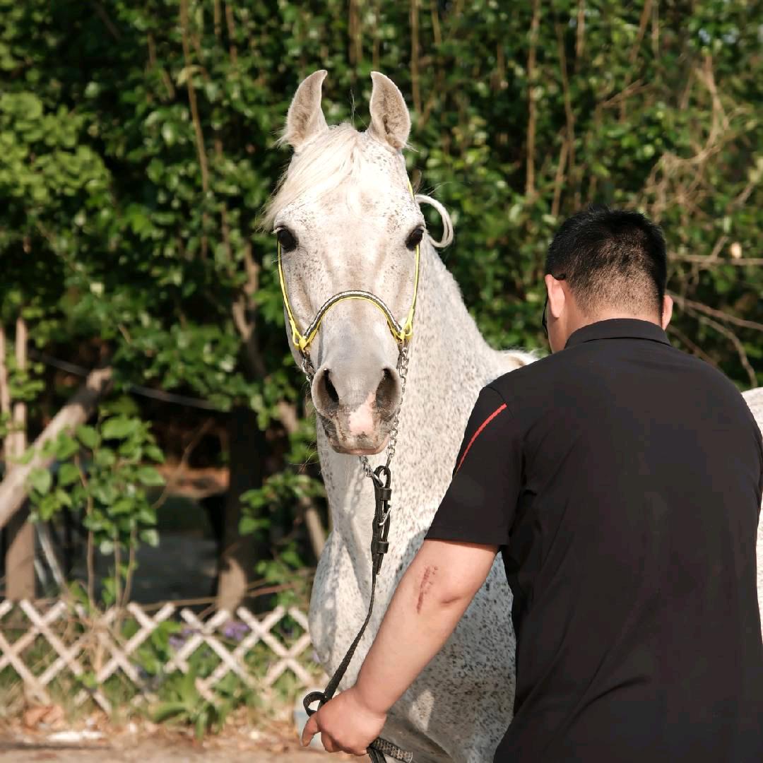 小刘儿爱骑马