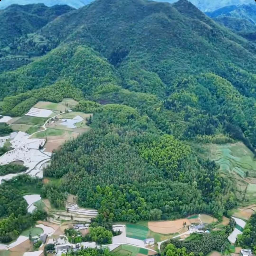 道真洛龙农利源