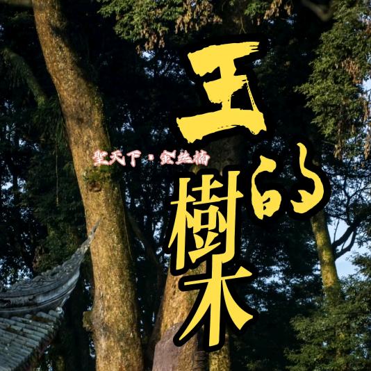 黔楠友【聖天下·金丝楠】