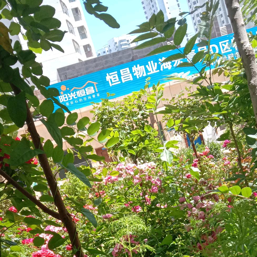 华丽的转身