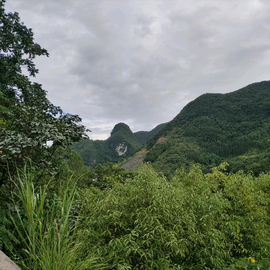 峰林游子