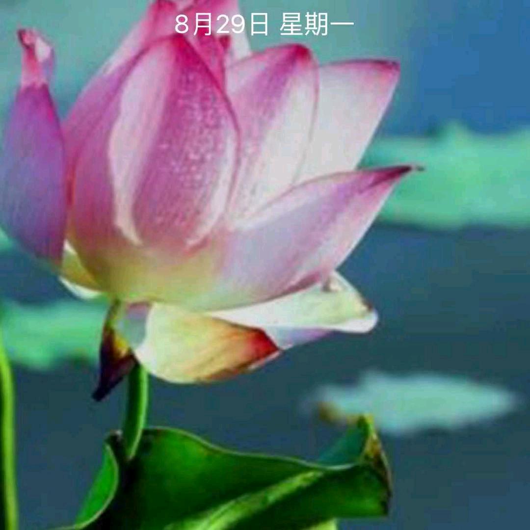 皆大欢喜
