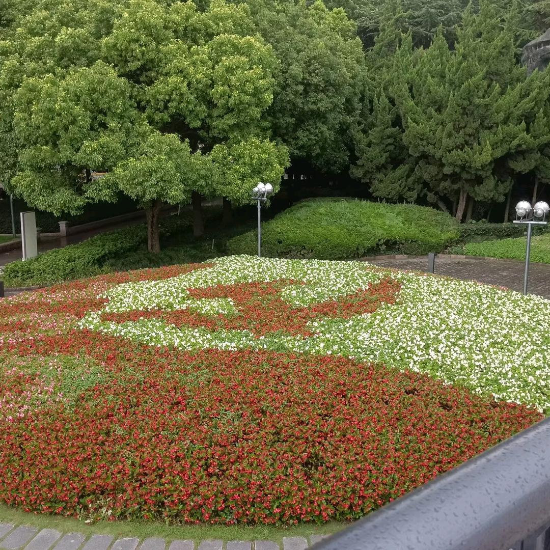 （四海为家）、