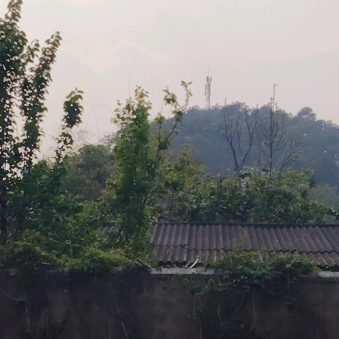 早上好