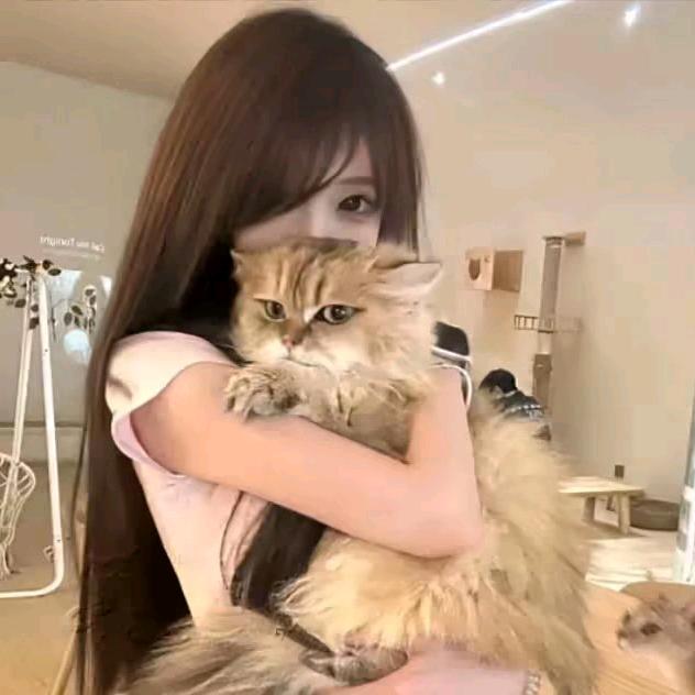 我骂的是日本人