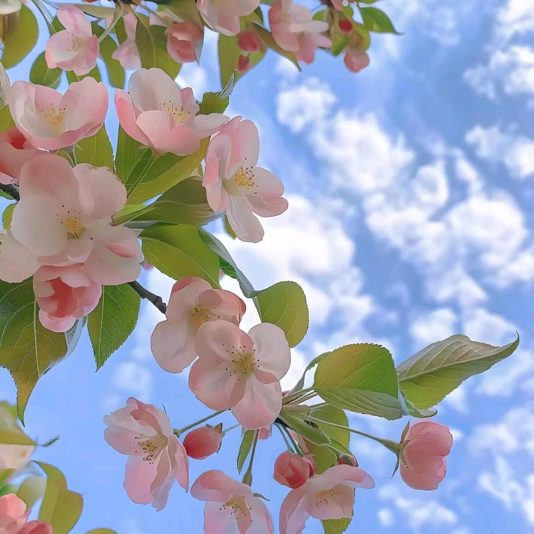 ❣️💘❣️用户87