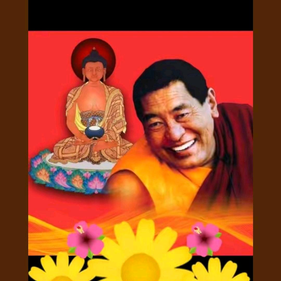 🌺蓝🍂天💐白🍁云🌸