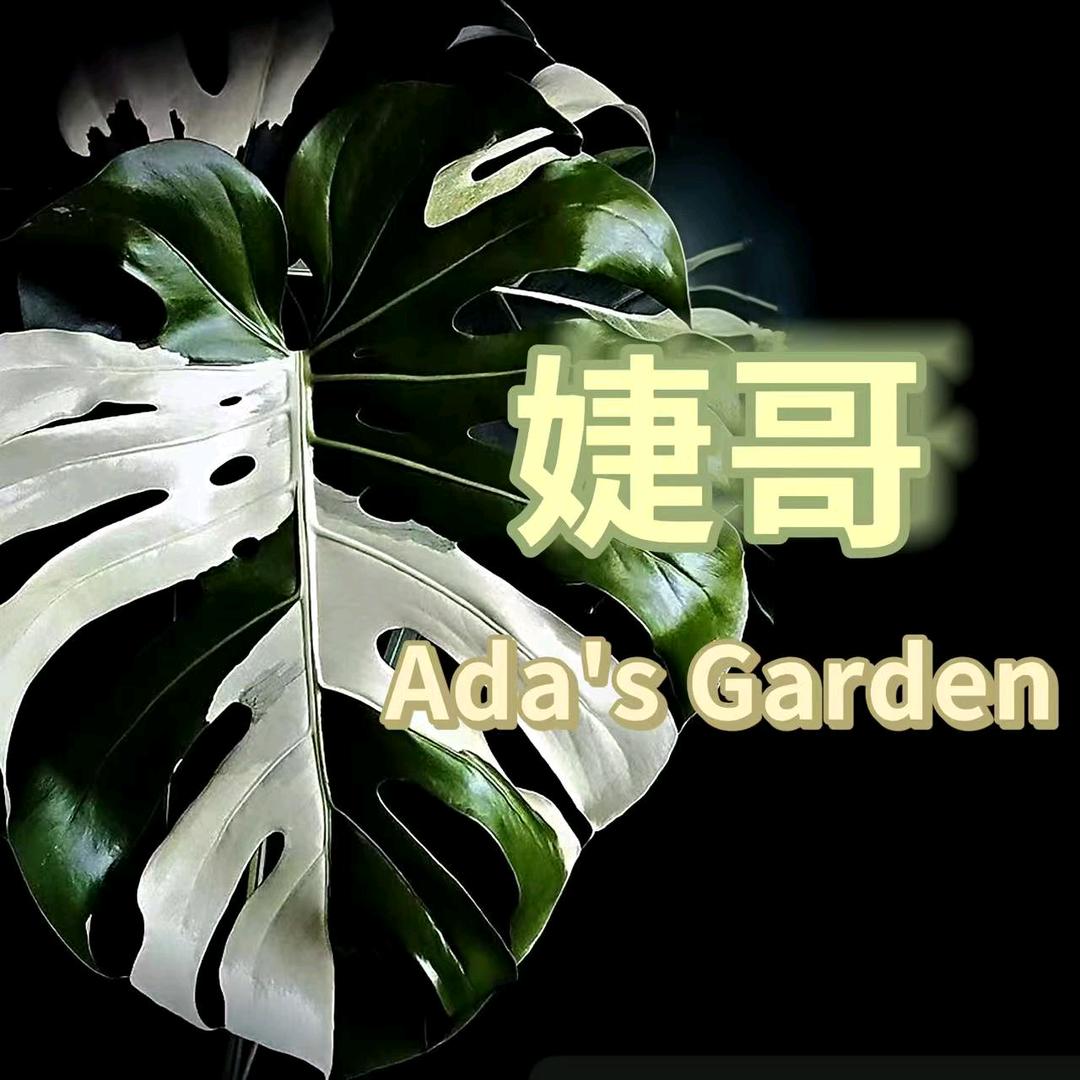 婕哥Ada's Garden