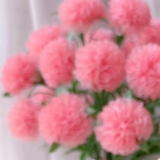 封心锁爱