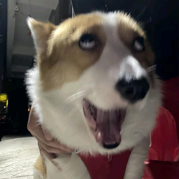 Eee