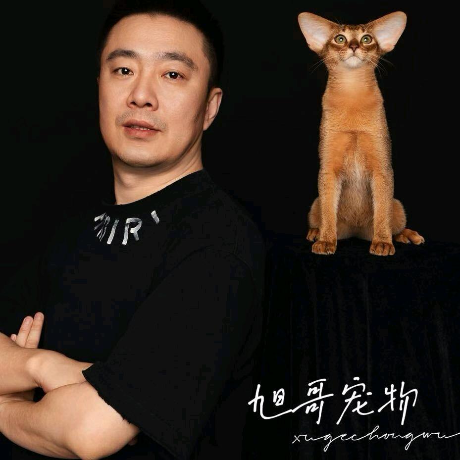 晟辰网络