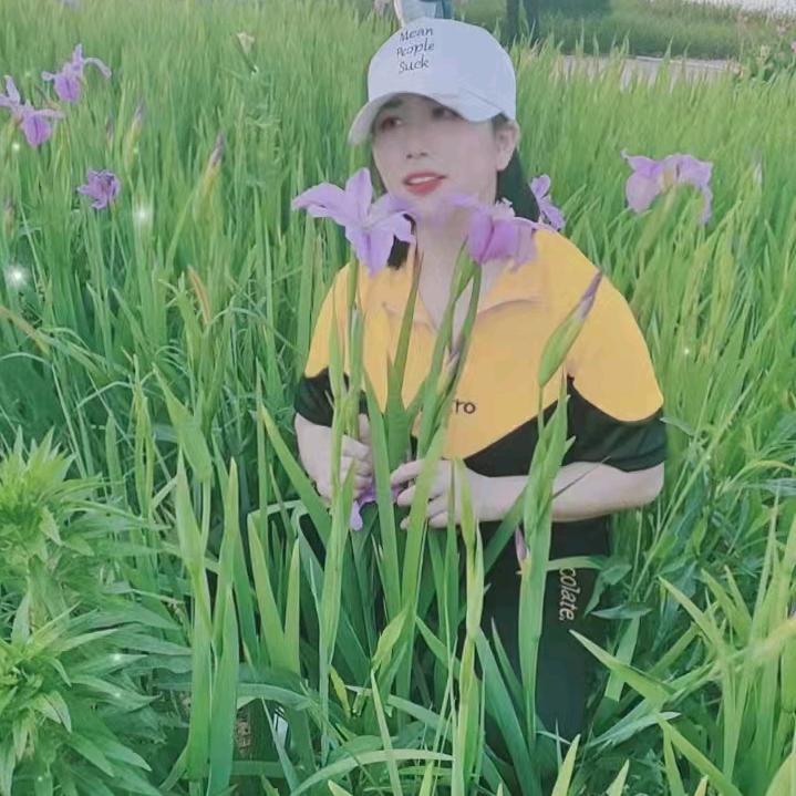 雨后彩虹