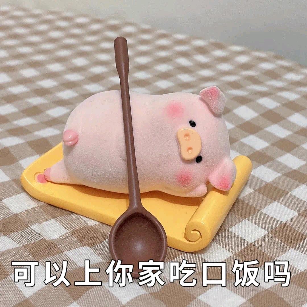 逍遥猪🐷