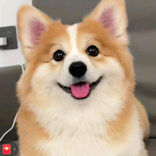 陈兰玲创意生活坊