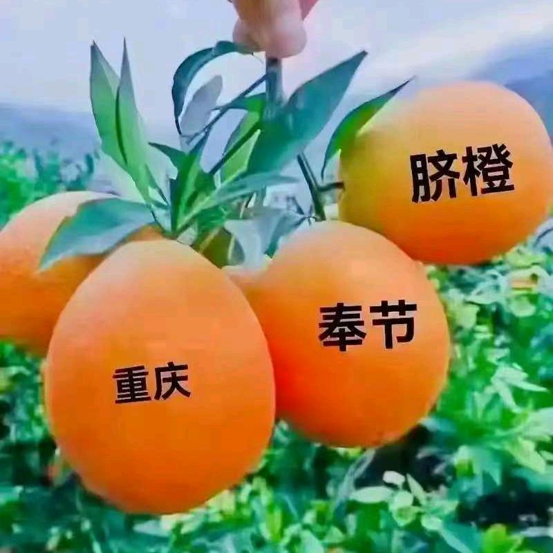 磊哥
