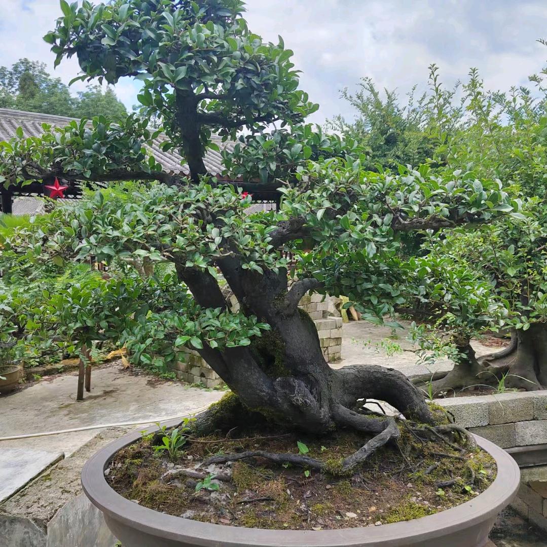 往事清零