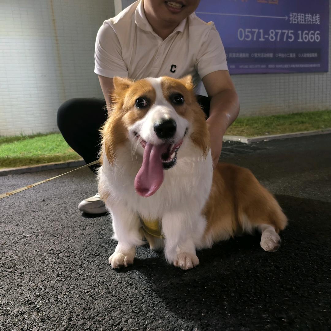 冬禧百货店