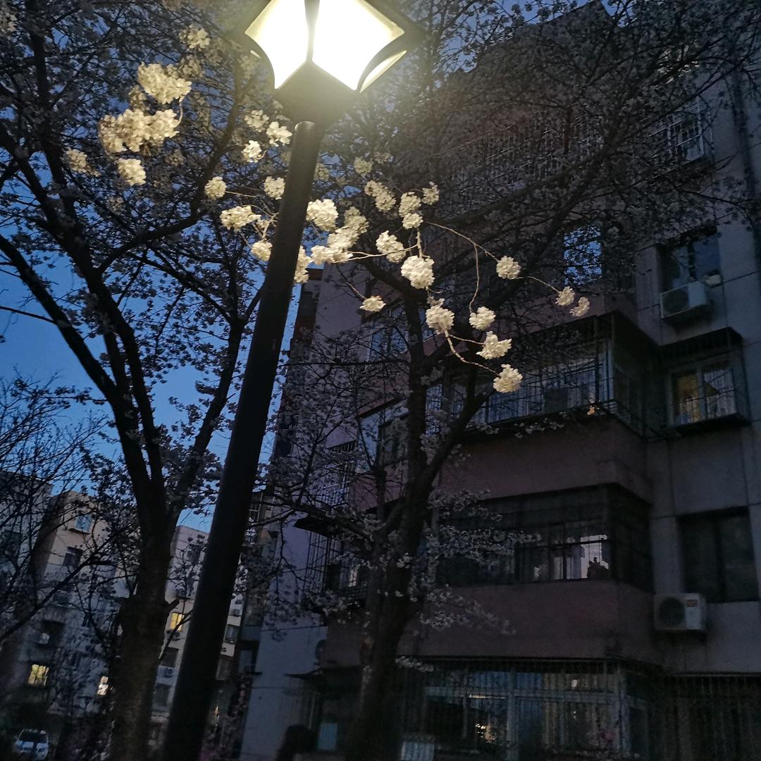 悟😀