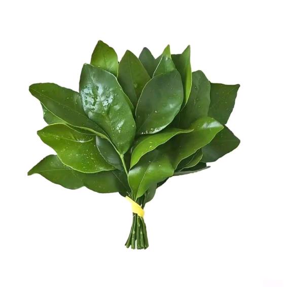 苏片被压力碎了