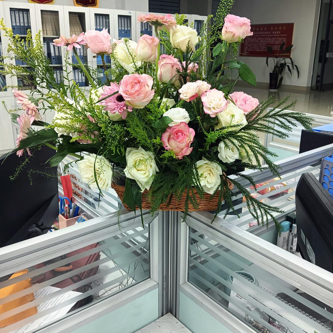 ღ᭄盼盼芳姐꧔ꦿ᭄💞橱窗有好物