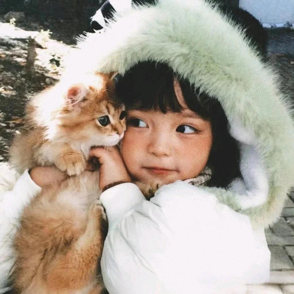 西西ᥫ᭡້໌ᮨ