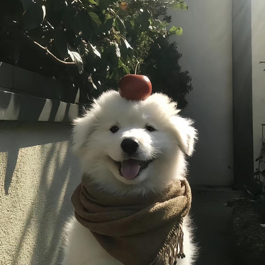 听澜