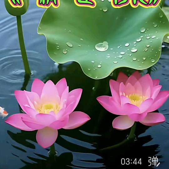 张沐泽！厚德载物