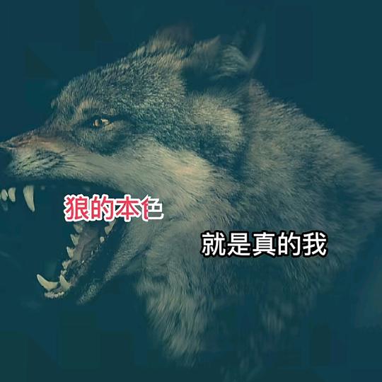 啊发