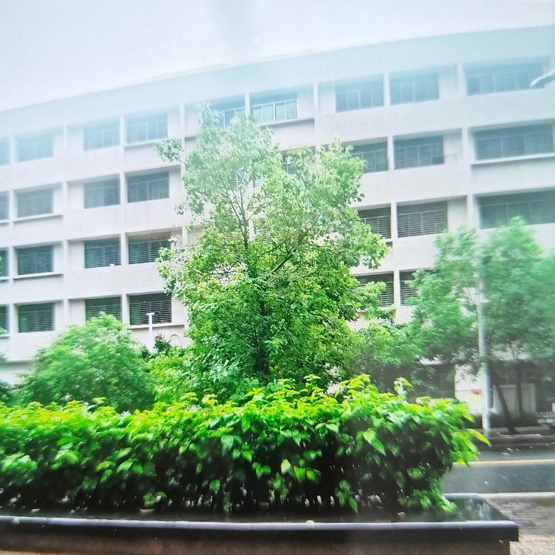 龙哥