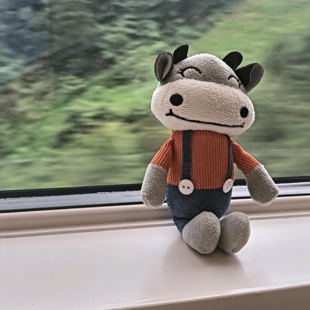 洋芋土豆马铃薯汁