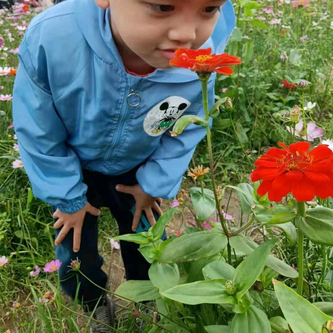 爱美丽