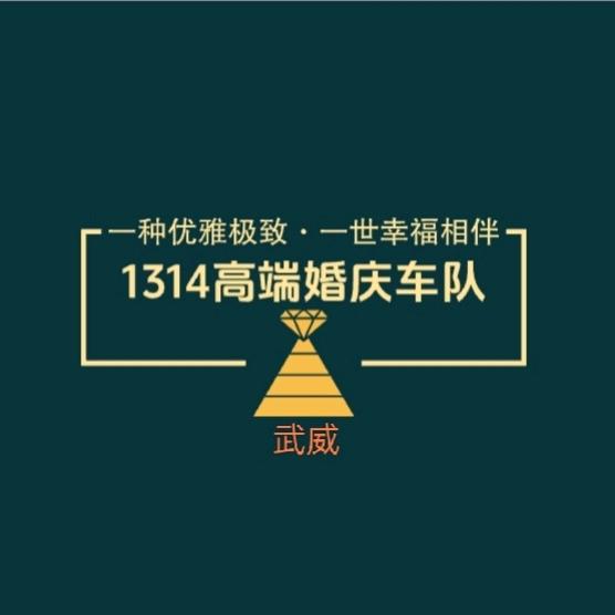 武威1314高端婚庆车队～阿山🚗