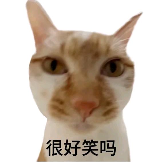 南京富债重組💜