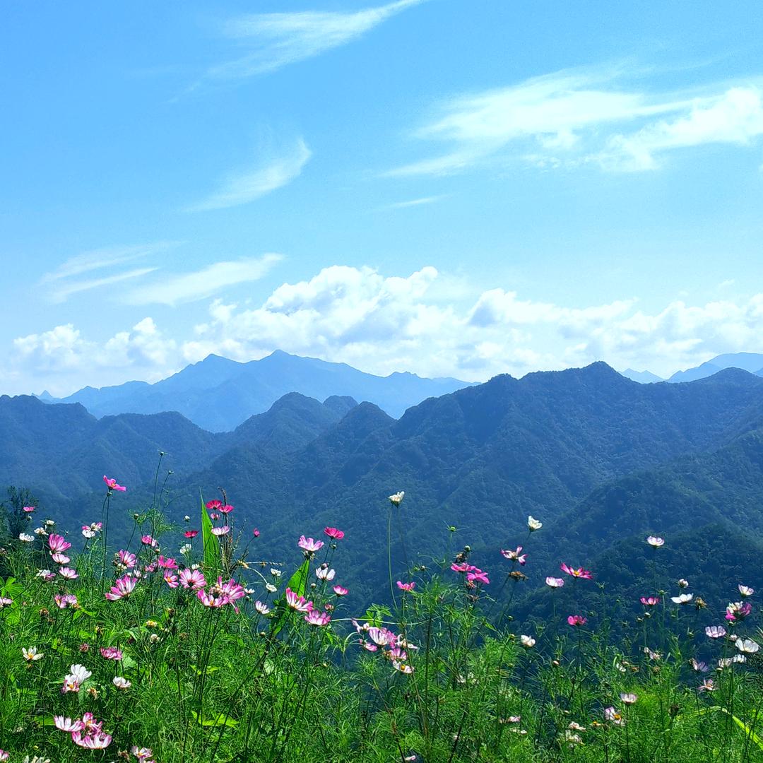 等风来