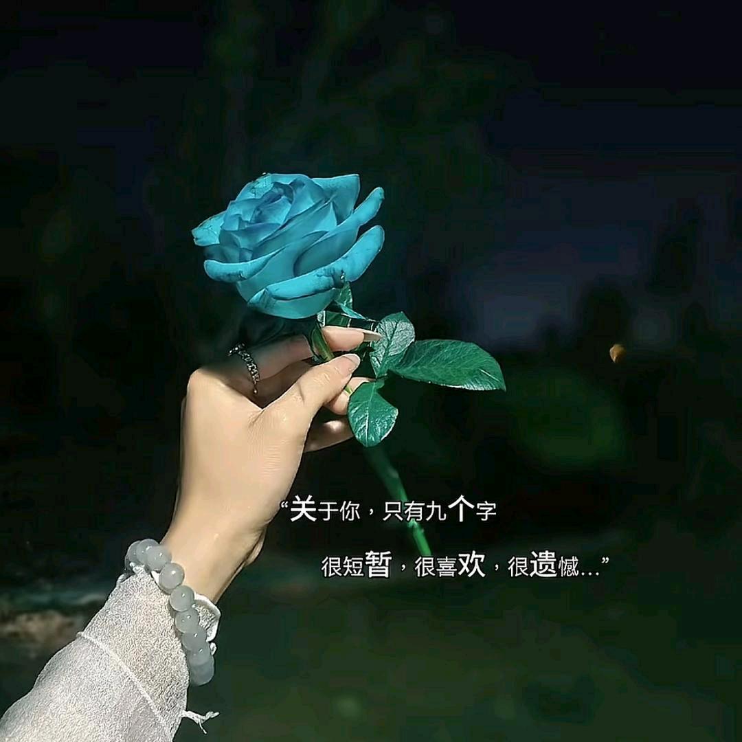𝟭-冰封的爱.