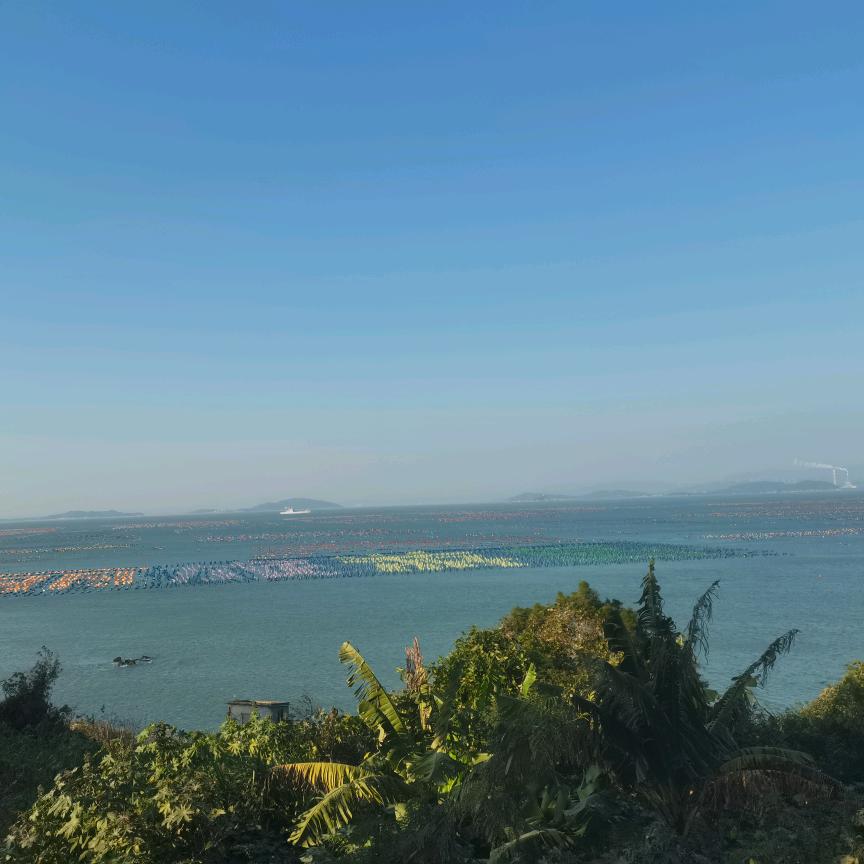 老三鲜炒鸡