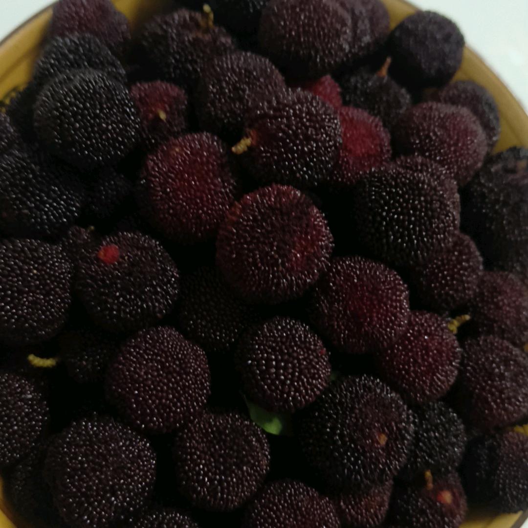 一切随缘。