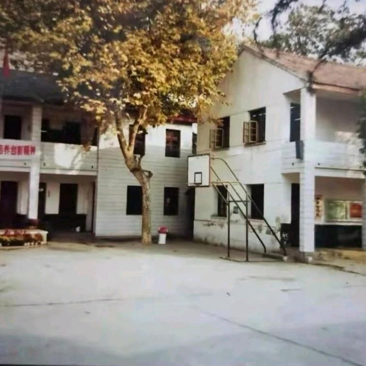 就爱吃鱼
